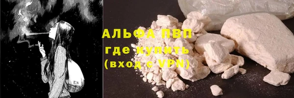 ПСИЛОЦИБИНОВЫЕ ГРИБЫ Магас