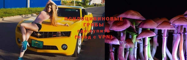 спайс Магадан