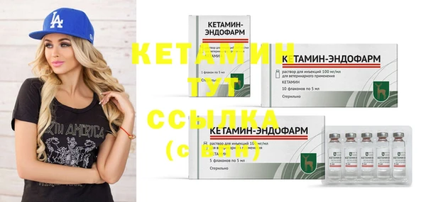 ПСИЛОЦИБИНОВЫЕ ГРИБЫ Магас