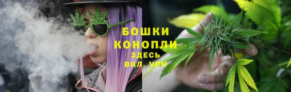 ПСИЛОЦИБИНОВЫЕ ГРИБЫ Магас
