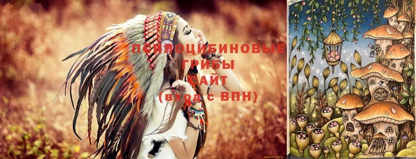 ПСИЛОЦИБИНОВЫЕ ГРИБЫ Магас
