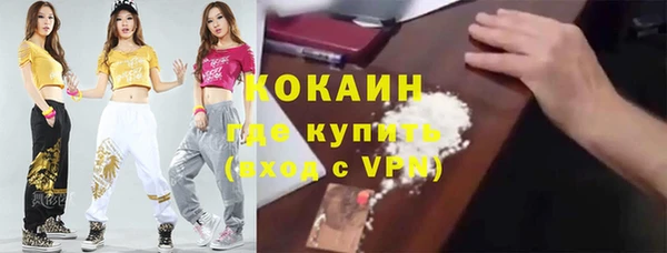 ПСИЛОЦИБИНОВЫЕ ГРИБЫ Магас