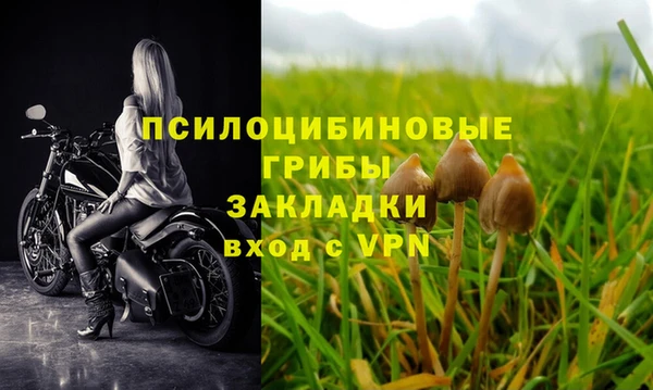 ПСИЛОЦИБИНОВЫЕ ГРИБЫ Магас