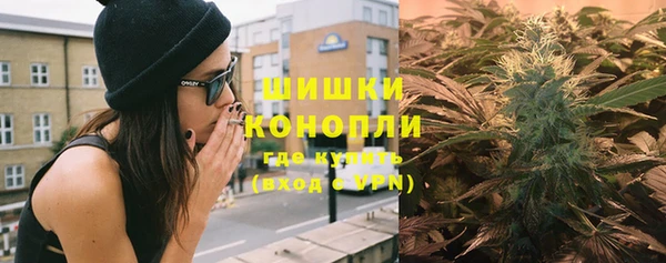 ПСИЛОЦИБИНОВЫЕ ГРИБЫ Магас