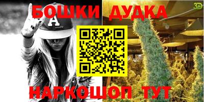 индика Азнакаево