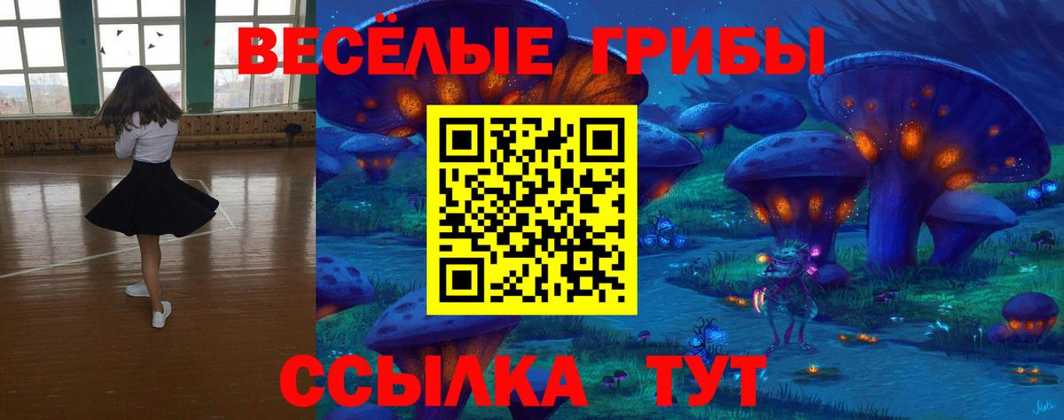 Галлюциногенные грибы прущие грибы  Вход с VPN  Раменское 