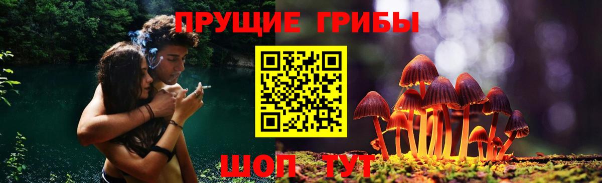 Раменское  Галлюциногенные грибы Psilocybine cubensis  Вход с VPN  Псилоцибиновые грибы MAGIC MUSHROOMS 